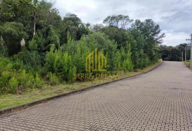 Imóvel 181