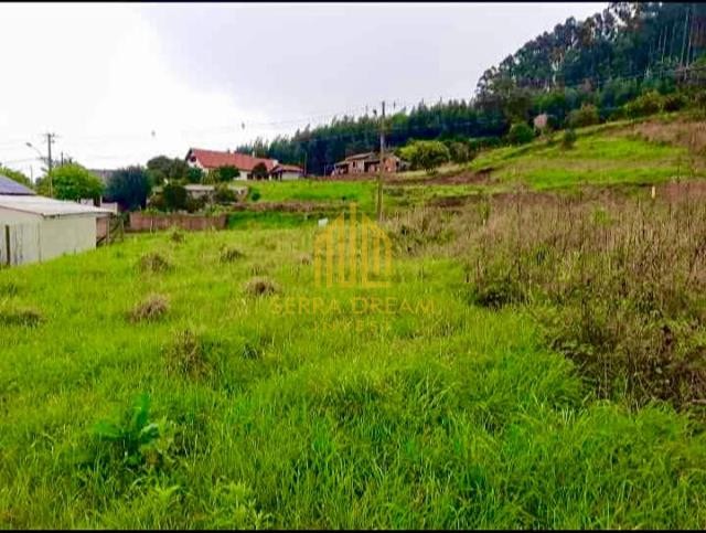 Imóvel 265