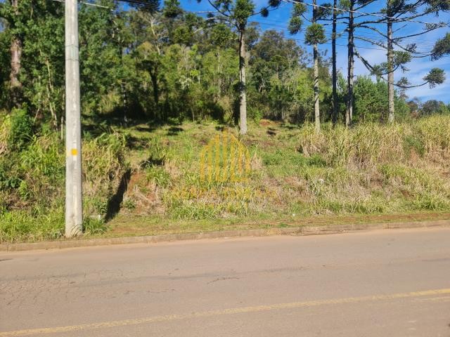 Imóvel 415